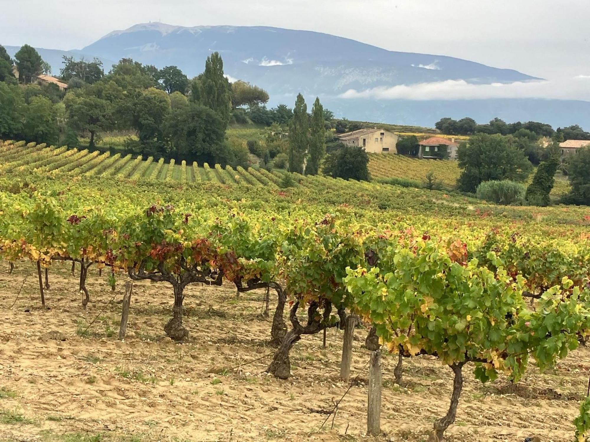 La Clairiere Villa Pierrelongue Dış mekan fotoğraf