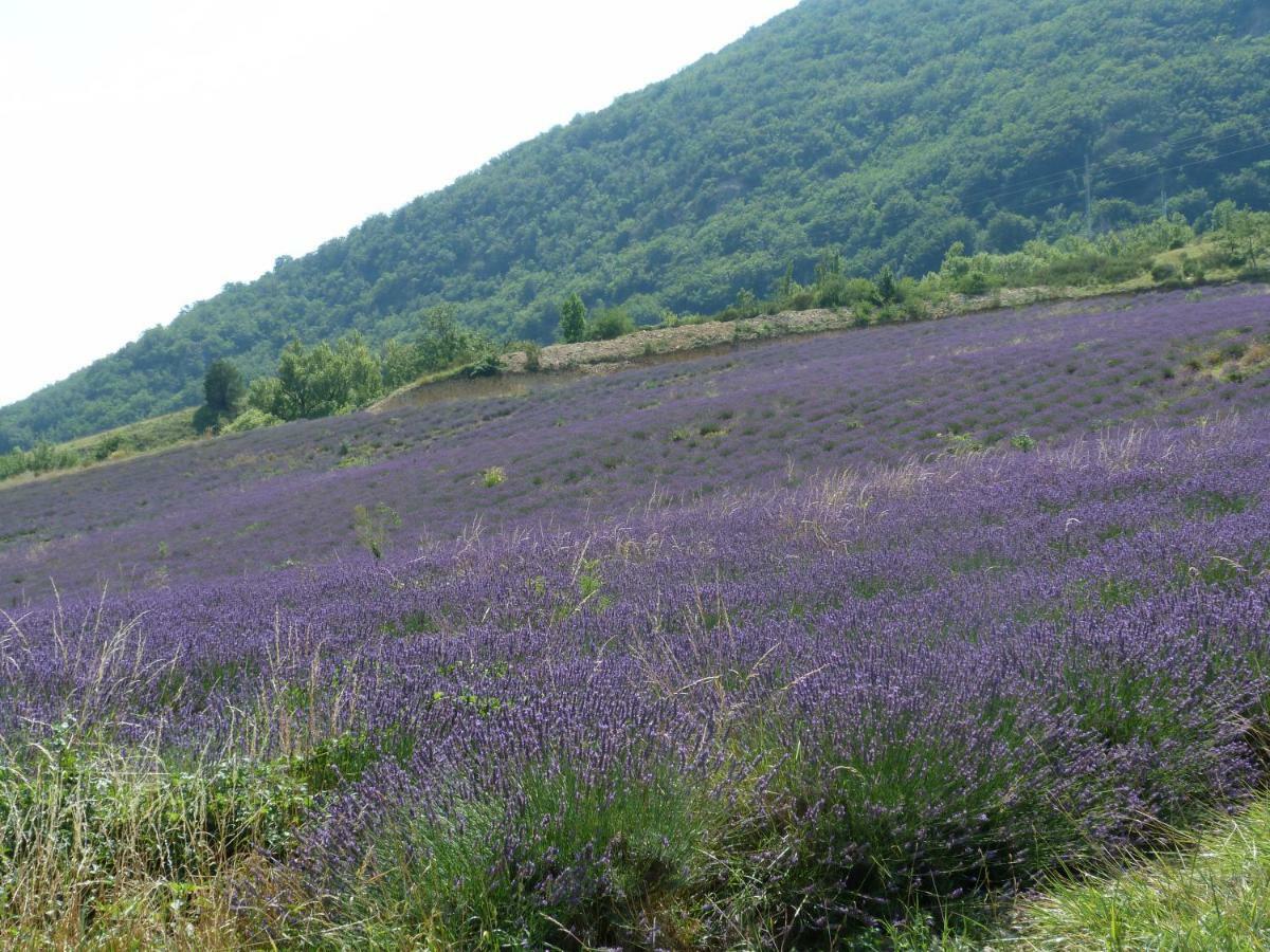 La Clairiere Villa Pierrelongue Dış mekan fotoğraf